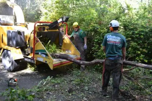 tree services Blountstown